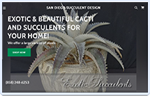 San Diego Succulent Design GoDaddy Website